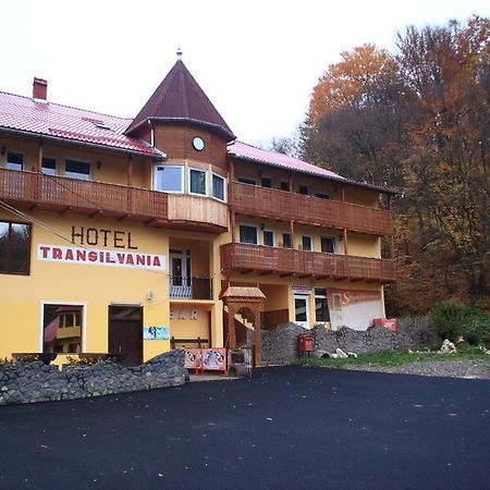 Vila Transilvania Балваниос Экстерьер фото